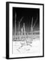 Cuba Fuerte Collection B&W - White Trees Beach III-Philippe Hugonnard-Framed Photographic Print