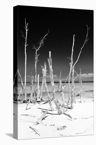 Cuba Fuerte Collection B&W - White Trees Beach III-Philippe Hugonnard-Stretched Canvas