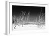 Cuba Fuerte Collection B&W - White Trees Beach IV-Philippe Hugonnard-Framed Photographic Print