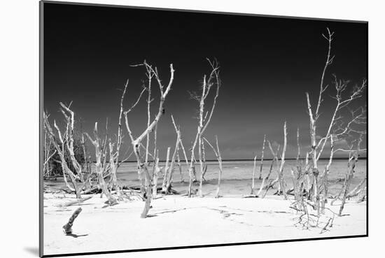 Cuba Fuerte Collection B&W - White Trees Beach IV-Philippe Hugonnard-Mounted Photographic Print