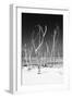 Cuba Fuerte Collection B&W - White Trees Beach V-Philippe Hugonnard-Framed Photographic Print