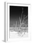 Cuba Fuerte Collection B&W - White Trees Beach VI-Philippe Hugonnard-Framed Photographic Print