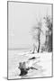 Cuba Fuerte Collection B&W - Wooden Beach II-Philippe Hugonnard-Mounted Photographic Print