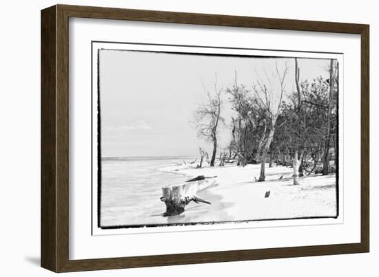 Cuba Fuerte Collection B&W - Wooden Beach-Philippe Hugonnard-Framed Photographic Print