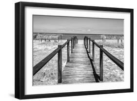 Cuba Fuerte Collection B&W - Wooden Pier on Tropical Beach IV-Philippe Hugonnard-Framed Photographic Print