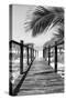 Cuba Fuerte Collection B&W - Wooden Pier on Tropical Beach IX-Philippe Hugonnard-Stretched Canvas