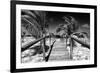 Cuba Fuerte Collection B&W - Wooden Pier on Tropical Beach VI-Philippe Hugonnard-Framed Photographic Print