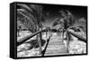Cuba Fuerte Collection B&W - Wooden Pier on Tropical Beach VI-Philippe Hugonnard-Framed Stretched Canvas