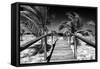 Cuba Fuerte Collection B&W - Wooden Pier on Tropical Beach VI-Philippe Hugonnard-Framed Stretched Canvas