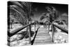 Cuba Fuerte Collection B&W - Wooden Pier on Tropical Beach VI-Philippe Hugonnard-Stretched Canvas