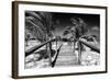 Cuba Fuerte Collection B&W - Wooden Pier on Tropical Beach VI-Philippe Hugonnard-Framed Photographic Print