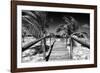 Cuba Fuerte Collection B&W - Wooden Pier on Tropical Beach VI-Philippe Hugonnard-Framed Photographic Print