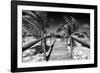 Cuba Fuerte Collection B&W - Wooden Pier on Tropical Beach VI-Philippe Hugonnard-Framed Photographic Print