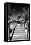 Cuba Fuerte Collection B&W - Wooden Pier on Tropical Beach VII-Philippe Hugonnard-Framed Stretched Canvas