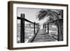 Cuba Fuerte Collection B&W - Wooden Pier on Tropical Beach VIII-Philippe Hugonnard-Framed Photographic Print