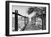 Cuba Fuerte Collection B&W - Wooden Pier on Tropical Beach VIII-Philippe Hugonnard-Framed Photographic Print