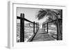 Cuba Fuerte Collection B&W - Wooden Pier on Tropical Beach VIII-Philippe Hugonnard-Framed Photographic Print