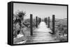 Cuba Fuerte Collection B&W - Wooden Pier on Tropical Beach-Philippe Hugonnard-Framed Stretched Canvas