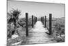 Cuba Fuerte Collection B&W - Wooden Pier on Tropical Beach-Philippe Hugonnard-Mounted Photographic Print