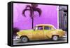 Cuba Fuerte Collection - Beautiful Retro Golden Car-Philippe Hugonnard-Framed Stretched Canvas