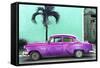 Cuba Fuerte Collection - Beautiful Retro Purple Car-Philippe Hugonnard-Framed Stretched Canvas