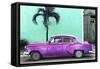 Cuba Fuerte Collection - Beautiful Retro Purple Car-Philippe Hugonnard-Framed Stretched Canvas