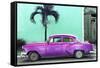 Cuba Fuerte Collection - Beautiful Retro Purple Car-Philippe Hugonnard-Framed Stretched Canvas