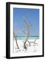 Cuba Fuerte Collection - Blue Stillness II-Philippe Hugonnard-Framed Photographic Print