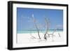 Cuba Fuerte Collection - Blue Stillness-Philippe Hugonnard-Framed Photographic Print