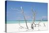 Cuba Fuerte Collection - Blue Stillness-Philippe Hugonnard-Stretched Canvas