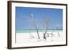 Cuba Fuerte Collection - Blue Stillness-Philippe Hugonnard-Framed Photographic Print