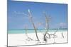 Cuba Fuerte Collection - Blue Stillness-Philippe Hugonnard-Mounted Photographic Print