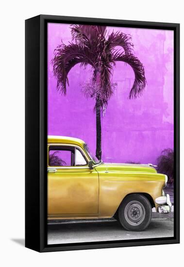 Cuba Fuerte Collection - Close-up of Beautiful Retro Golden Car-Philippe Hugonnard-Framed Stretched Canvas