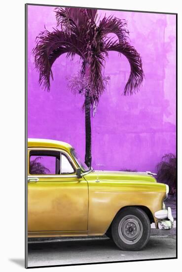 Cuba Fuerte Collection - Close-up of Beautiful Retro Golden Car-Philippe Hugonnard-Mounted Photographic Print