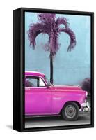 Cuba Fuerte Collection - Close-up of Beautiful Retro Pink Car-Philippe Hugonnard-Framed Stretched Canvas