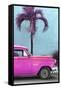 Cuba Fuerte Collection - Close-up of Beautiful Retro Pink Car-Philippe Hugonnard-Framed Stretched Canvas