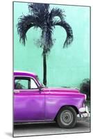 Cuba Fuerte Collection - Close-up of Beautiful Retro Purple Car-Philippe Hugonnard-Mounted Premium Photographic Print