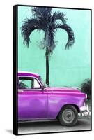 Cuba Fuerte Collection - Close-up of Beautiful Retro Purple Car-Philippe Hugonnard-Framed Stretched Canvas