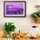 Cuba Fuerte Collection - Close-up of Retro Purple Car-Philippe Hugonnard-Framed Photographic Print displayed on a wall