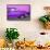 Cuba Fuerte Collection - Close-up of Retro Purple Car-Philippe Hugonnard-Framed Stretched Canvas displayed on a wall