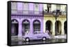 Cuba Fuerte Collection - Colorful Architecture and Mauve Classic Car-Philippe Hugonnard-Framed Stretched Canvas