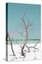 Cuba Fuerte Collection - Coral Green Stillness II-Philippe Hugonnard-Stretched Canvas