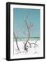 Cuba Fuerte Collection - Coral Green Stillness II-Philippe Hugonnard-Framed Photographic Print