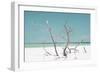 Cuba Fuerte Collection - Coral Green Stillness-Philippe Hugonnard-Framed Photographic Print