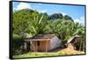 Cuba Fuerte Collection - Cuban Country House-Philippe Hugonnard-Framed Stretched Canvas