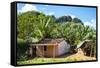 Cuba Fuerte Collection - Cuban Country House-Philippe Hugonnard-Framed Stretched Canvas