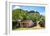 Cuba Fuerte Collection - Cuban Country House-Philippe Hugonnard-Framed Photographic Print