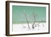 Cuba Fuerte Collection - Green Stillness-Philippe Hugonnard-Framed Photographic Print