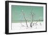 Cuba Fuerte Collection - Green Stillness-Philippe Hugonnard-Framed Photographic Print