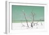 Cuba Fuerte Collection - Green Stillness-Philippe Hugonnard-Framed Photographic Print